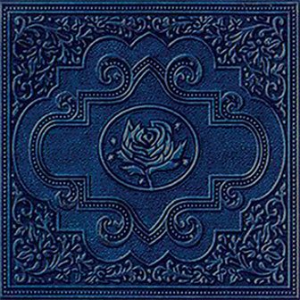 "Cold Roses" album by Ryan Adams