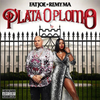 "Plata O Plomo" album by Fat Joe & Remy Ma