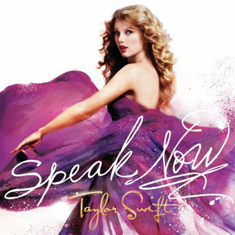 "The Story Of Us" by Taylor Swift