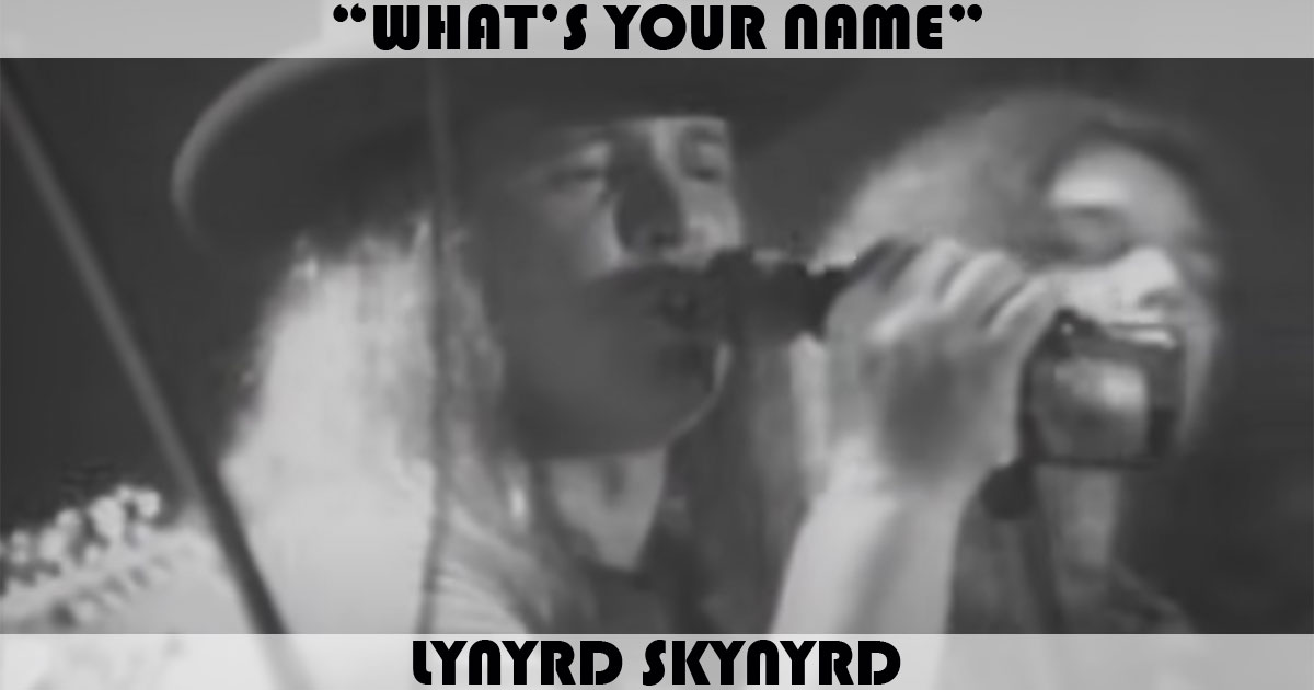 "What's Your Name" by Lynyrd Skynyrd