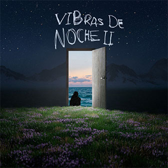"Vibras de Noche II" album
