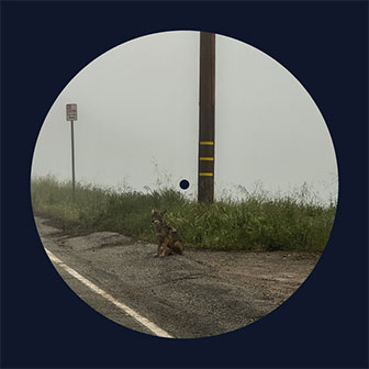 "Misses" by Dominic Fike "Misses" by Dominic Fike